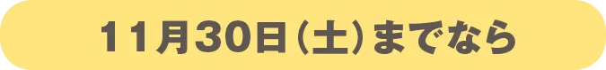 11月30日（土）までなら