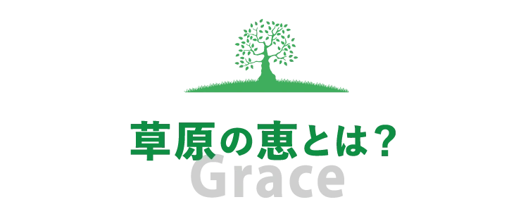 Grace 草原の恵とは？