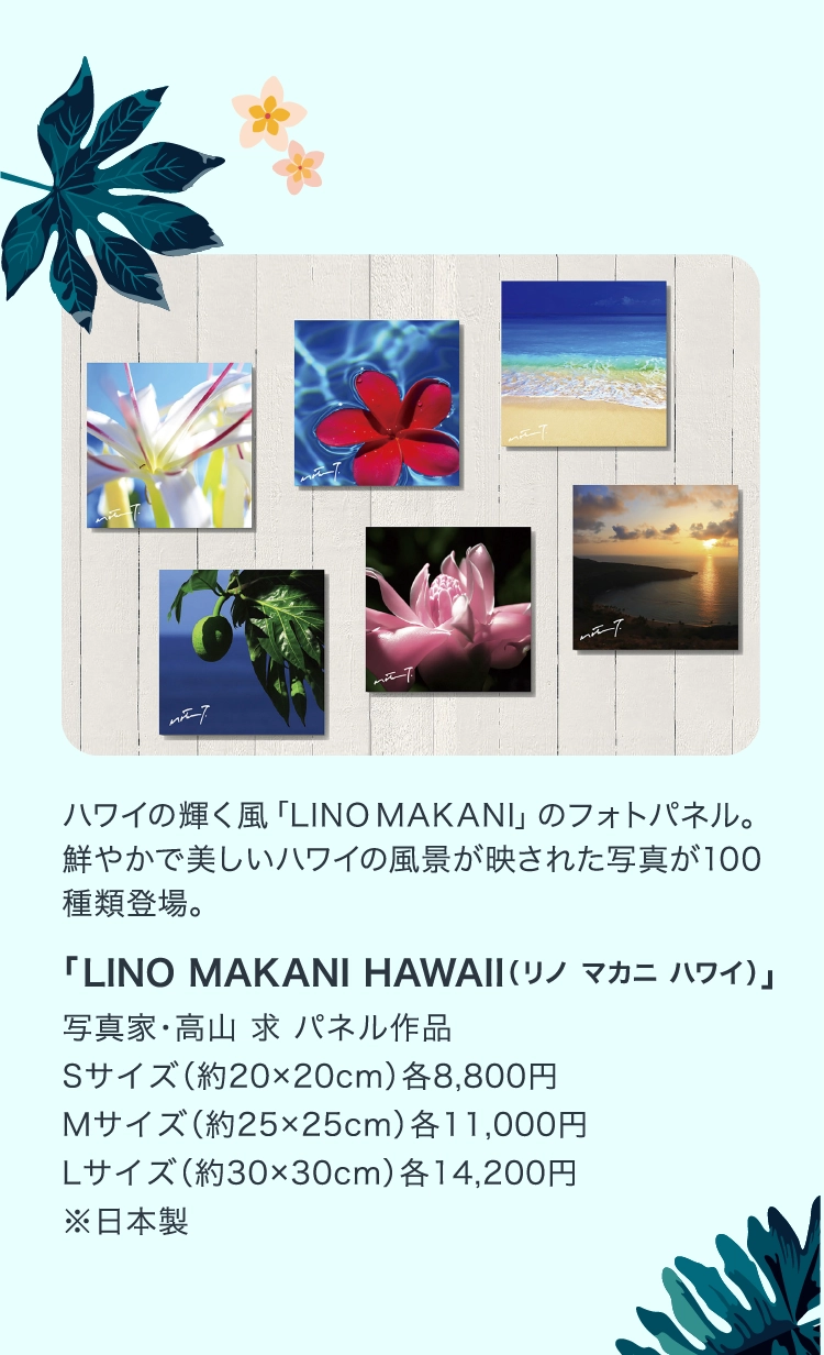 「LINO MAKANI HAWAII（リノ マカニ ハワイ）」