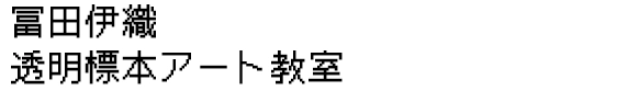 冨田伊織透明標本アート教室