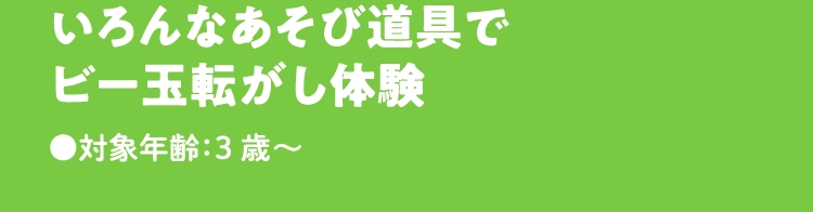 いろんなあそび道具で
                            ビー玉転がし体験
                            