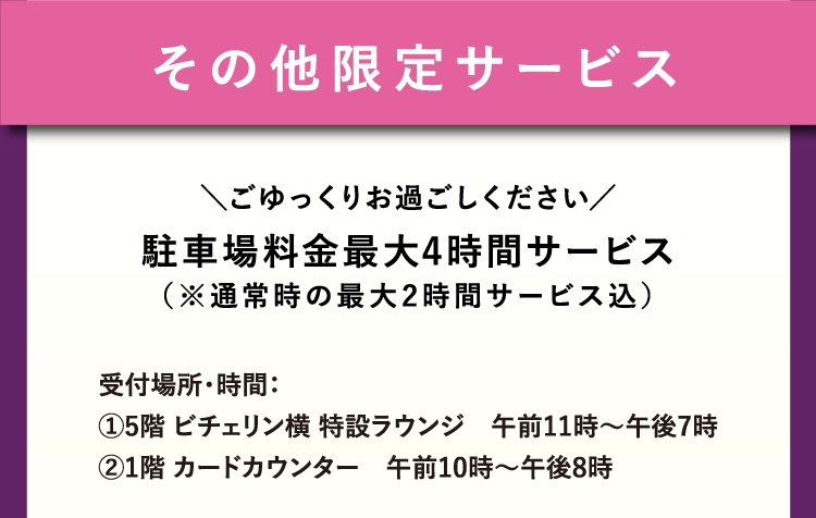 その他限定サービス