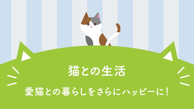 猫との生活