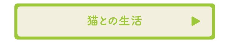 猫との生活