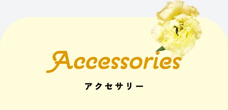 Accessories アクセサリー