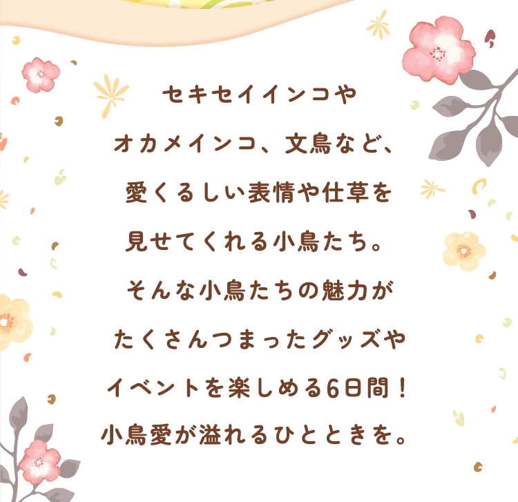 セキセイインコや
        オカメインコ、文鳥など、
        愛くるしい表情や仕草を
        見せてくれる小鳥たち。
        そんな小鳥たちの魅力が
        たくさんつまったグッズや
        イベントを楽しめる6日間！
        小鳥愛が溢れるひとときを。
        