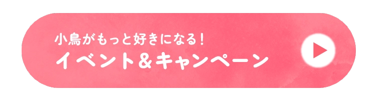 イベント＆キャンペーン