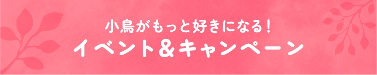 イベント＆キャンペーン