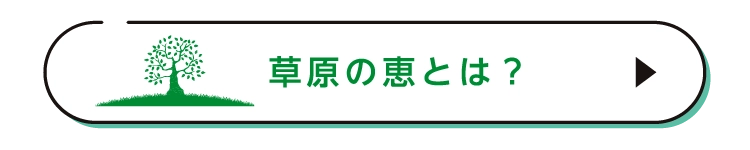 草原の恵とは？