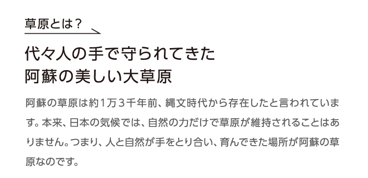 代々人の手で守られてきた
          阿蘇の美しい大草原