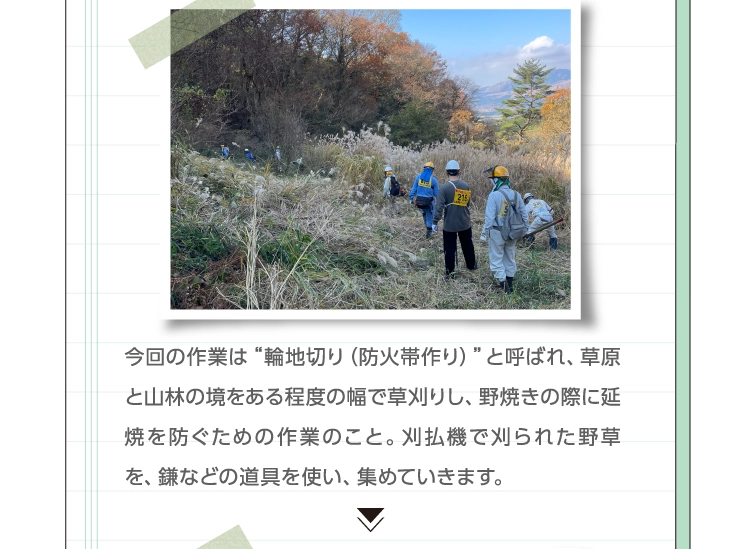 今回の作業は“輪地切り（防火帯作り）”と呼ばれ、草原と山林の境をある程度の幅で草刈りし、野焼きの際に延焼を防ぐための作業のこと。刈払機で刈られた野草を、鎌などの道具を使い、集めていきます。