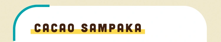 cacao sampaka