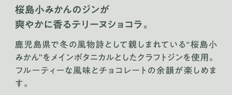 桜島小みかんのジンが爽やかに香るテリーヌショコラ。 鹿児島県で冬の風物詩として親しまれている“桜島小みかん”をメインボタニカルとしたクラフトジンを使用。フルーティーな風味とチョコレートの余韻が楽しめます。