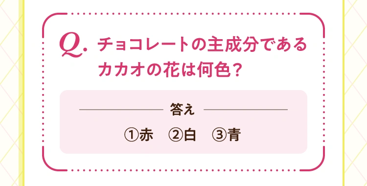 問い チョコレートの主成分であるカカオの花は何色？ 答え ①赤・②白・③青