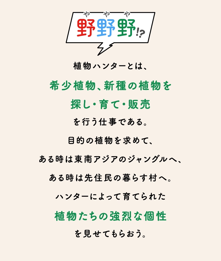 植物ハンターとは、
                    希少植物、新種の植物を
                    探し・育て・販売
                    を行う仕事である。
                    目的の植物を求めて、
                    ある時は東南アジアのジャングルへ、ある時は先住民の暮らす村へ。
                    ハンターによって育てられた
                    植物たちの強烈な個性
                    を見せてもらおう。
                    