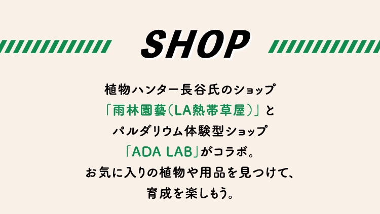 SHOP