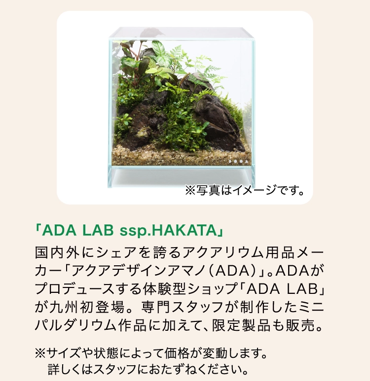 「ADA LAB ssp.HAKATA」 
                    国内外にシェアを誇るアクアリウム用品メーカー「アクアデザインアマノ（ADA）」。ADAがプロデュースする体験型ショップ「ADA LAB」が九州初登場。 専門スタッフが制作したミニパルダリウム作品に加えて、限定製品も販売。