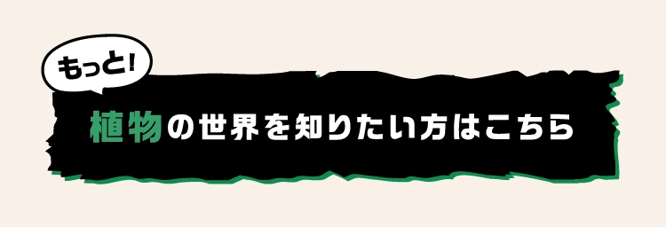 植物の世界を知りたい方はこちら