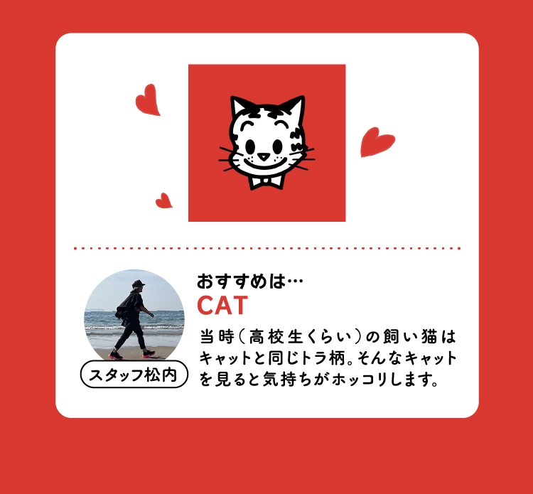 おすすめは…
                CAT