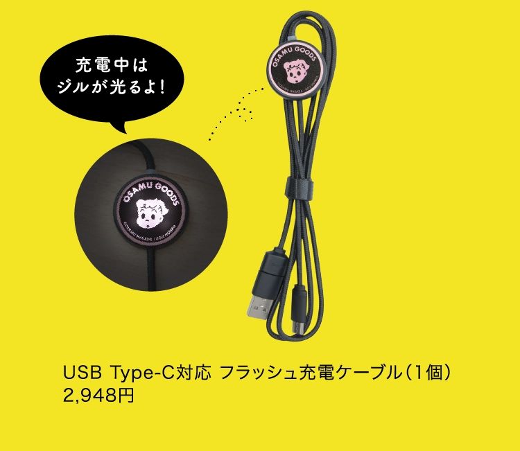 USB Type-C対応 フラッシュ充電ケーブル（1個）
                2,948円