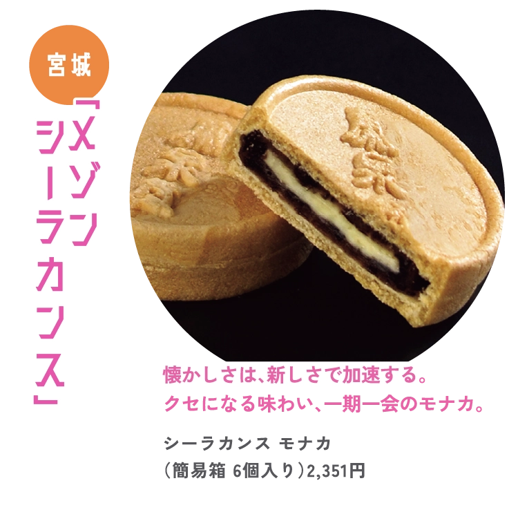 懐かしさは、新しさで加速する。 
クセになる味わい、一期一会のモナカ。
シーラカンス モナカ
（簡易箱 6個入り）2,351円

