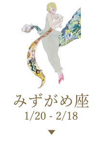 みずがめ座 1/20 - 2/18