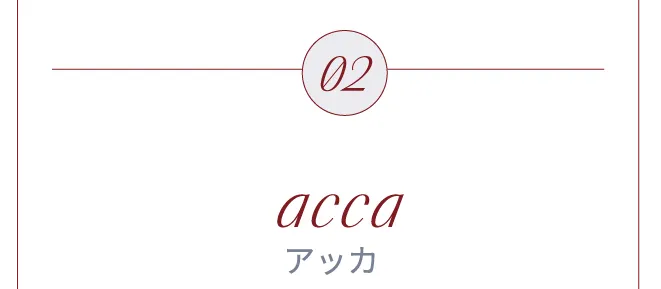 acca アッカ