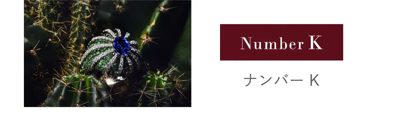 ナンバー K