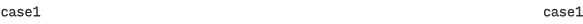 case 1