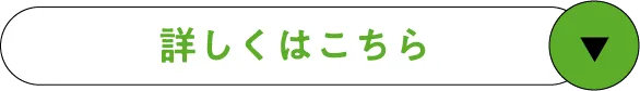 詳しくはこちら