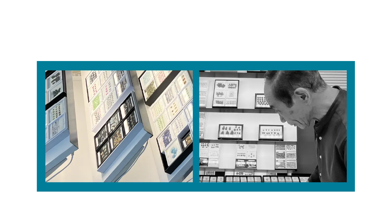 Buyer : Masanori Yoshida