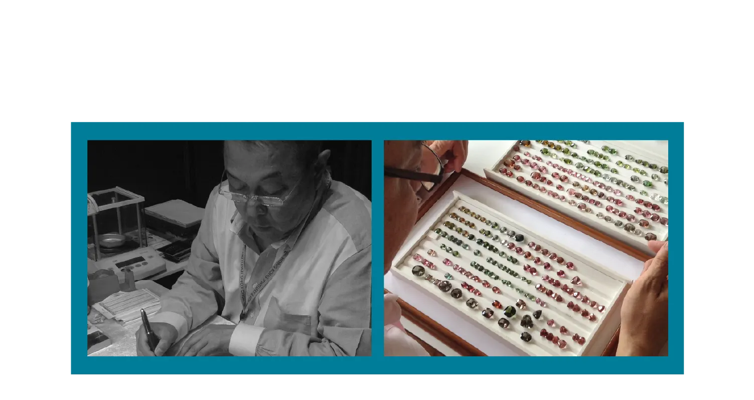Designer : Tomoyuki Aonuma