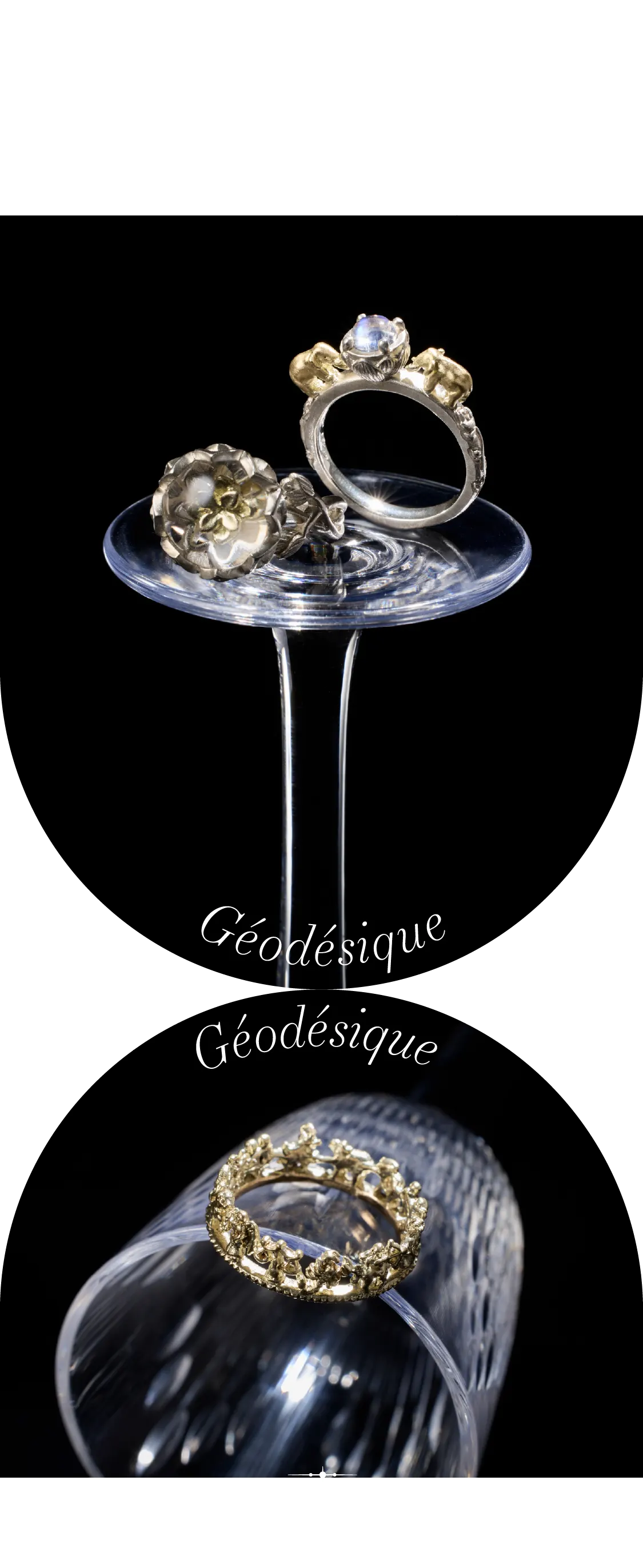 Géodésique ジィオデシック