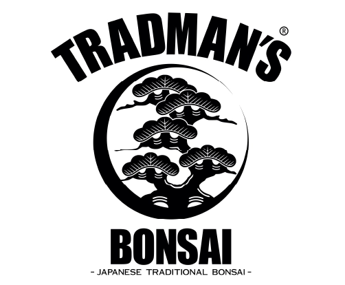 TRADMAN’S BONSAI