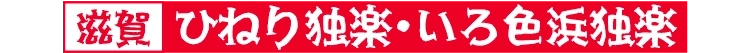 ひねり独楽・いろ色浜独楽