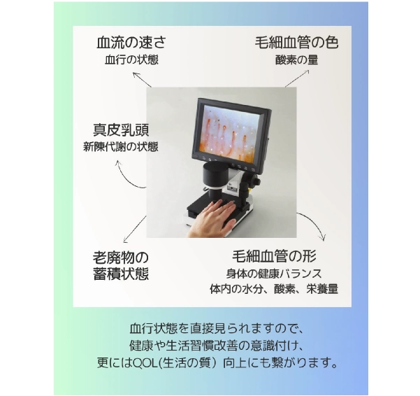 野性の藻ブルーグリーンアルジー