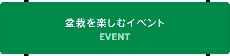 盆栽を楽しむイベント