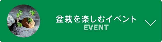 盆栽を楽しむイベント