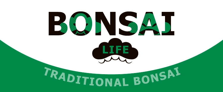 BONSAI LIFE ～盆栽に恋して～