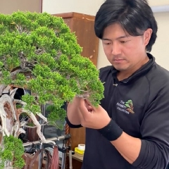 山地孝政