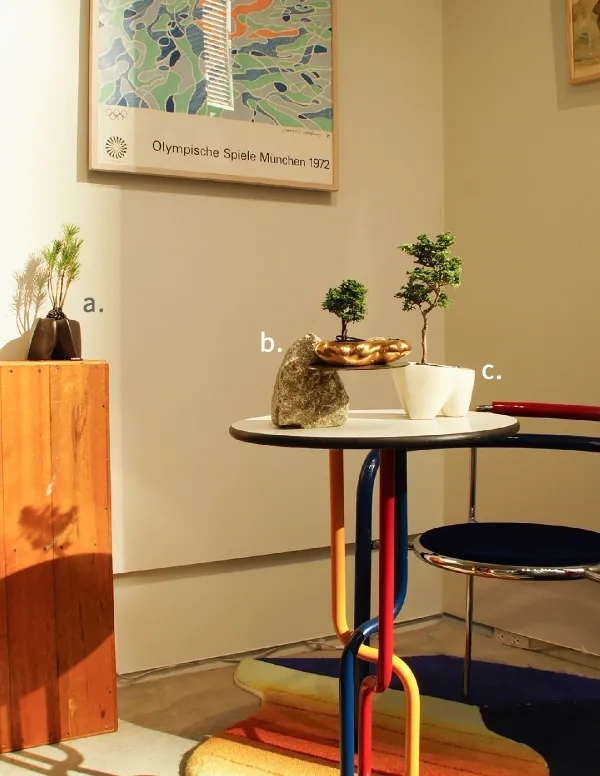 「KOKON BONSAI」
