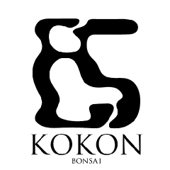 KOKON