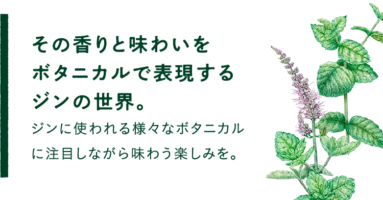 その香りと味わいを
								ボタニカルで表現する
								ジンの世界。