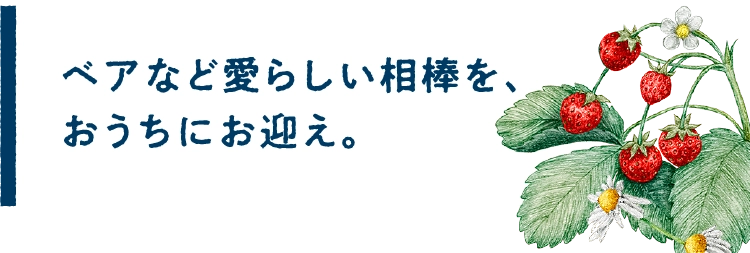 ベアなど愛らしい相棒を、おうちにお迎え。