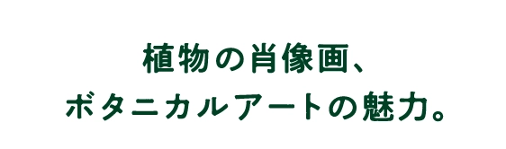 植物の肖像画、ボタニカルアートの魅力。