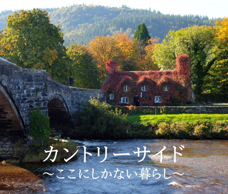 英国フェア2025