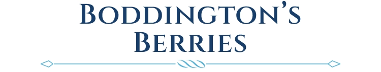 Boddington’s Berries