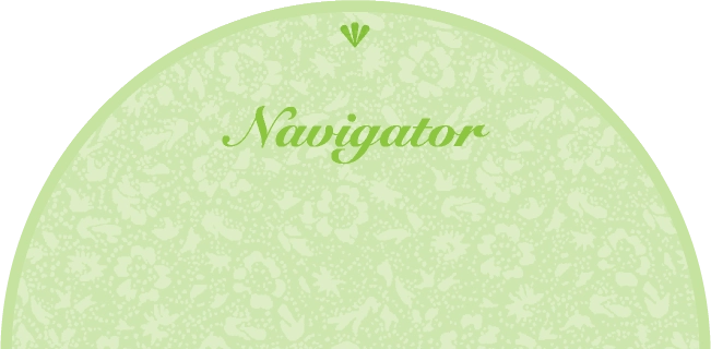 Navigator