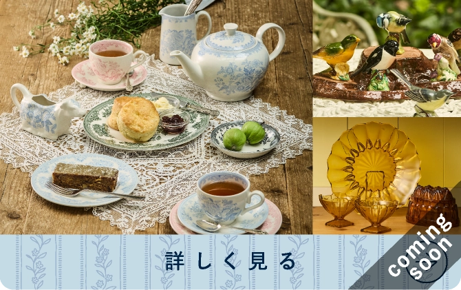 詳しく見る
