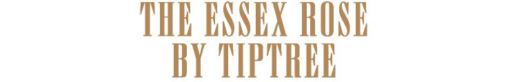 THE ESSEX ROSE BY TIPTREE